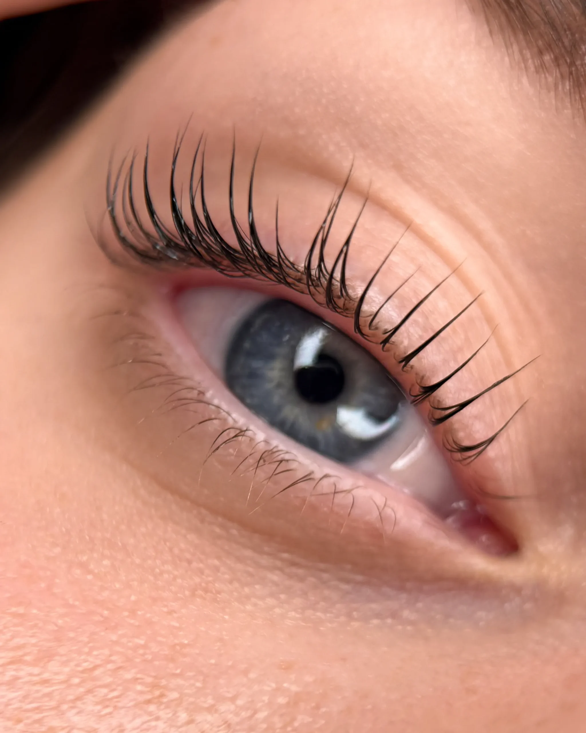 Lash lift result example for beauty training students