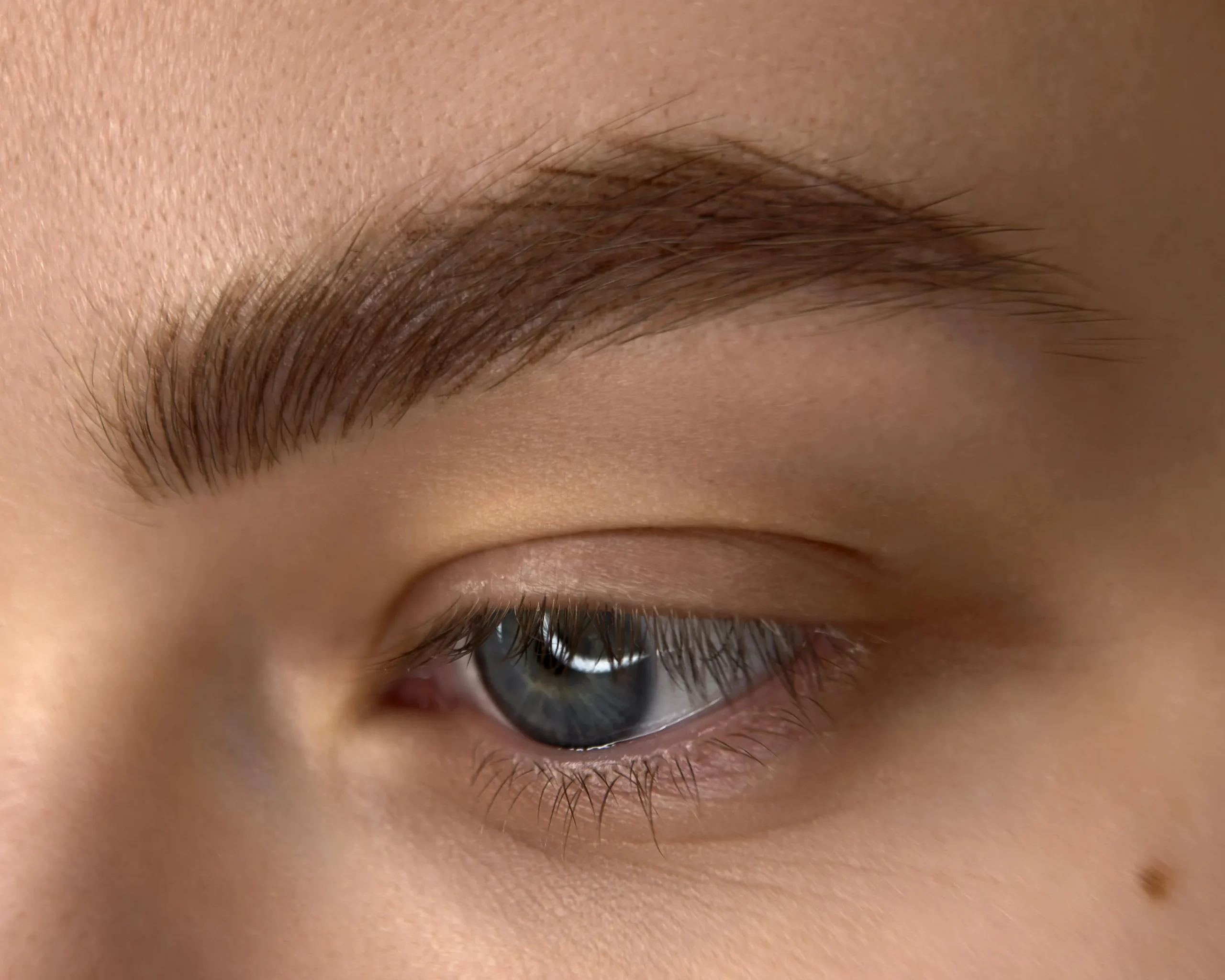 Nano brows result from PMU brows training in Vancouver