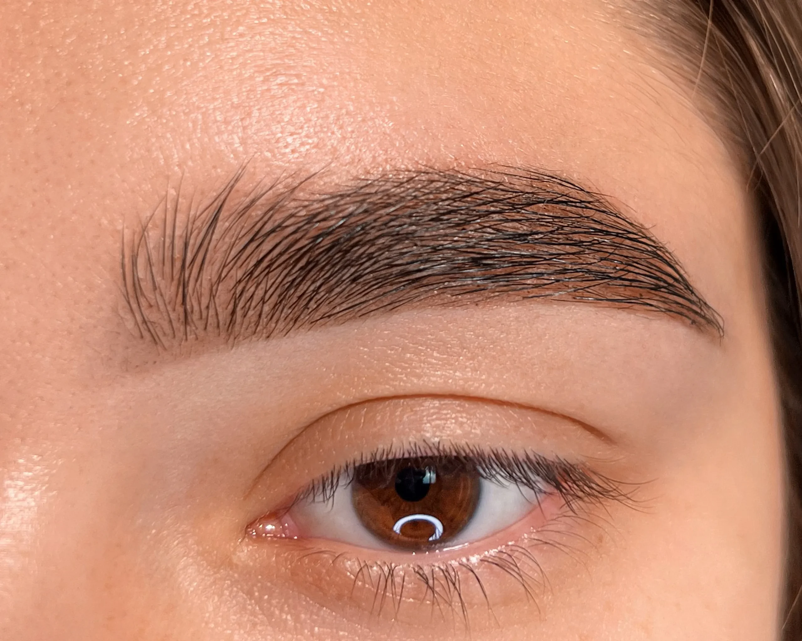 Brow lamination and tint result from EkBeBeauty Academy training